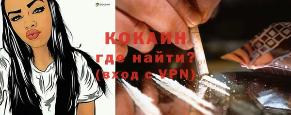 дмт Каменка