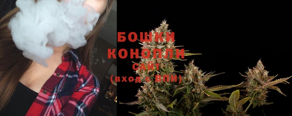 каннабис Каменногорск