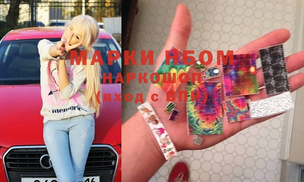 дмт Каменка
