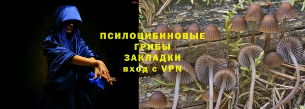дмт Каменка