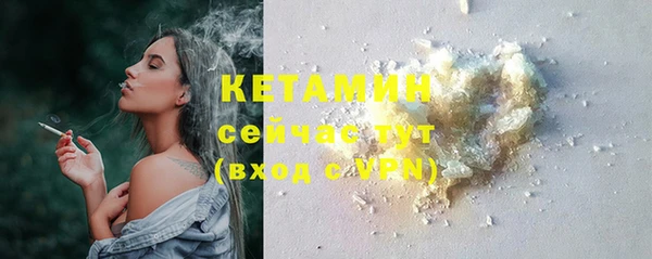 дмт Каменка