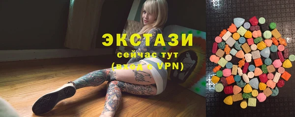 дмт Каменка